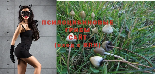 молекула духа Абинск