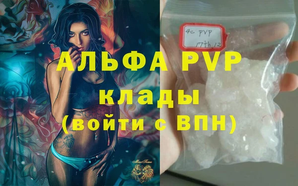 мяу мяу мука Абаза