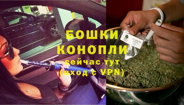 мяу мяу мука Абаза