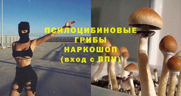 мяу мяу мука Абаза