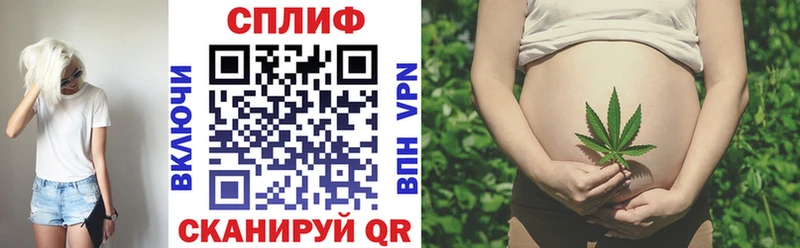 наркотики  Киселёвск  Каннабис план 